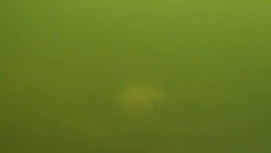 Подводная охота на малых реках день 2