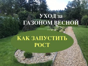 Уход за газоном весной. Удобрения для газона весной  Запускаем газон.