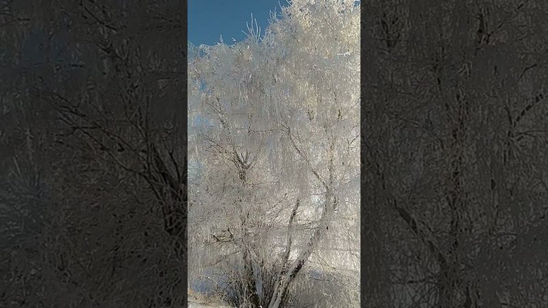 Красота