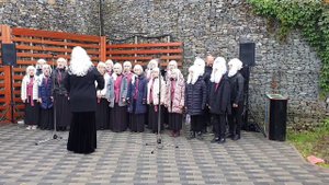 "Музы согласно" кант Петровской эпохи