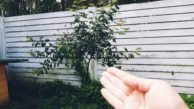 Продаю дачу/Раменский район МО/Продам дом для круглогодичного проживания/Ссылка на авито в коммента смотреть онлайн