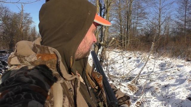 Охота на зайца. 3 января 2017г. Не добыли смотреть онлайн