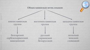 Русский язык 7 класс (Урок№1 -  Русский язык как развивающееся явление.)