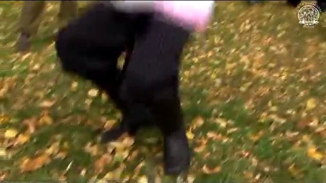 Русский боевой пляс!!.mp4 смотреть онлайн