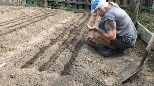 Посеяла морковь ? смотреть онлайн