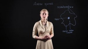 БИОЛОГИЯ 7 класс : Амёба протей (обыкновенная) | Видеоурок