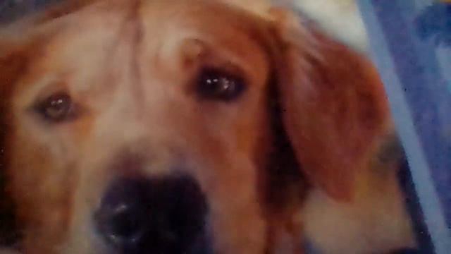 С уважением к вам на почту и телефон в подписи и печати на разных. смотреть онлайн