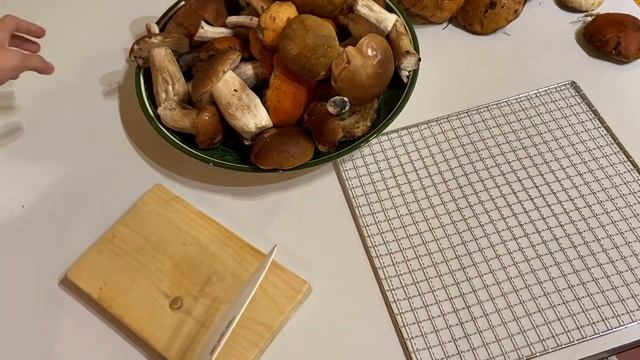 Сушка грибов