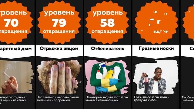 Сравнение: 50 САМЫХ НЕПРИЯТНЫХ И ОТВРАТИТЕЛЬНЫХ ЗАПАХОВ в мире