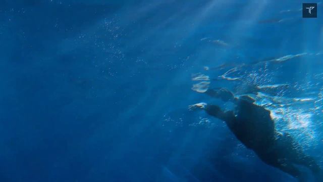 TOP 3 Best Smartwatches under 10000 in INDIA! Best smartwatch under 10k in 2022 with calling Featur смотреть онлайн