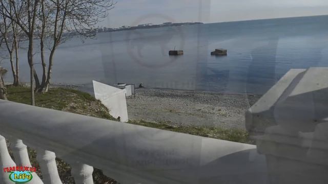 VLOG 455 Геленджик LIFE Пляжи района БЕГЕМОТ смотреть онлайн