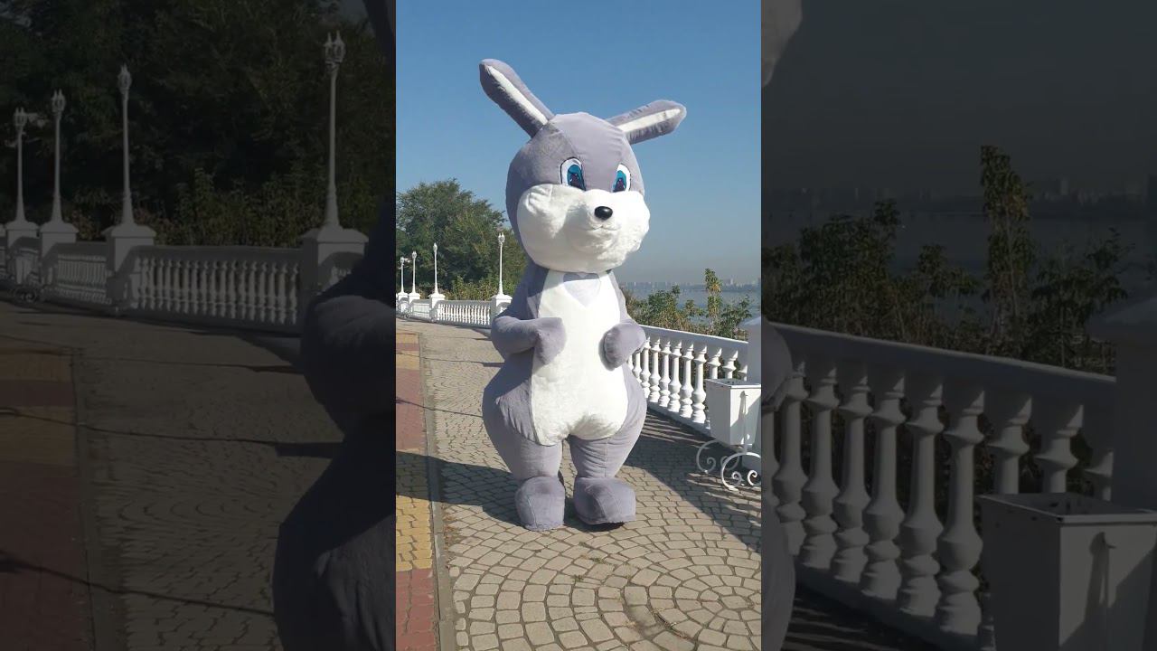 Зайчик гуляет