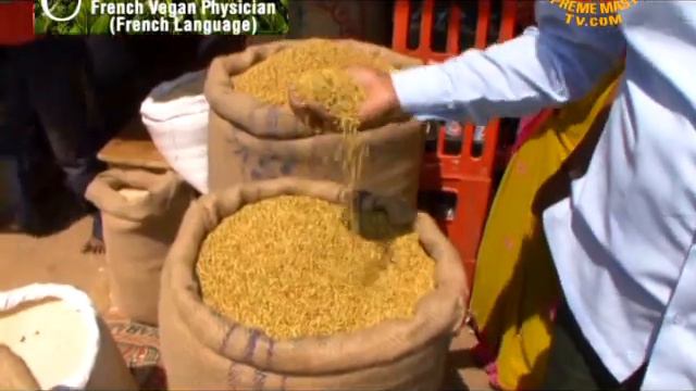 Rethinking Our Diets:Dr. Jérôme Bernard-Pellet, French Vegan Physician (In French) (1/2) смотреть онлайн