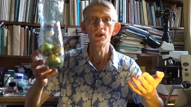 Как Избавиться от Ос? Сделайте Ловушку От Ос! смотреть онлайн