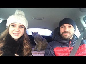 стрим в парке «Легенда»