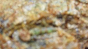 Изумрудная полоса Урала.Поиск уральских изумрудов.