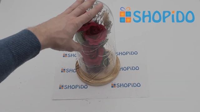 Роза в колбе Кинг 28 см с подсветкой - обзор. Отличный подарок на 8 марта и день рождения. смотреть онлайн