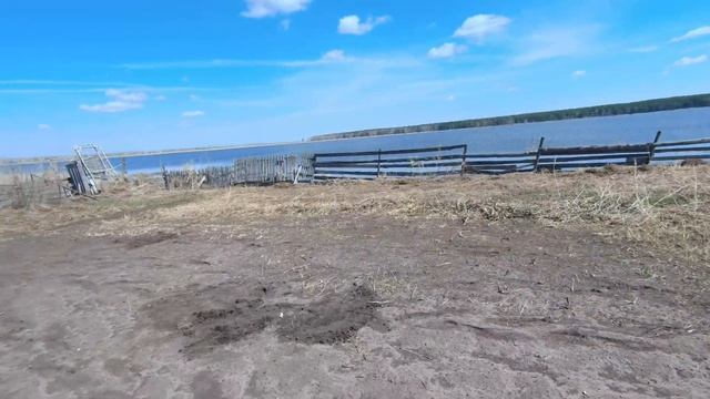 ЛОПАТА МОНЕТ И СИБИРСКИЙ ПЯТАК ОГОРОДНЫЙ КОП (КОП С МЕТАЛЛОИСКАТЕЛЕМ, ПОИСК СТАРИНЫ, ПУТЕШЕСТВИЯ) смотреть онлайн