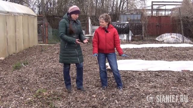 Как я сделала почву плодородной, 1 часть.