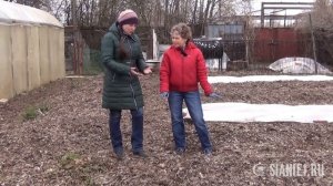 Как я сделала почву плодородной, 1 часть.