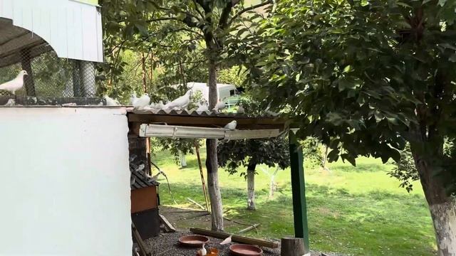 В монастыре - матушка Валентина Корниенко смотреть онлайн