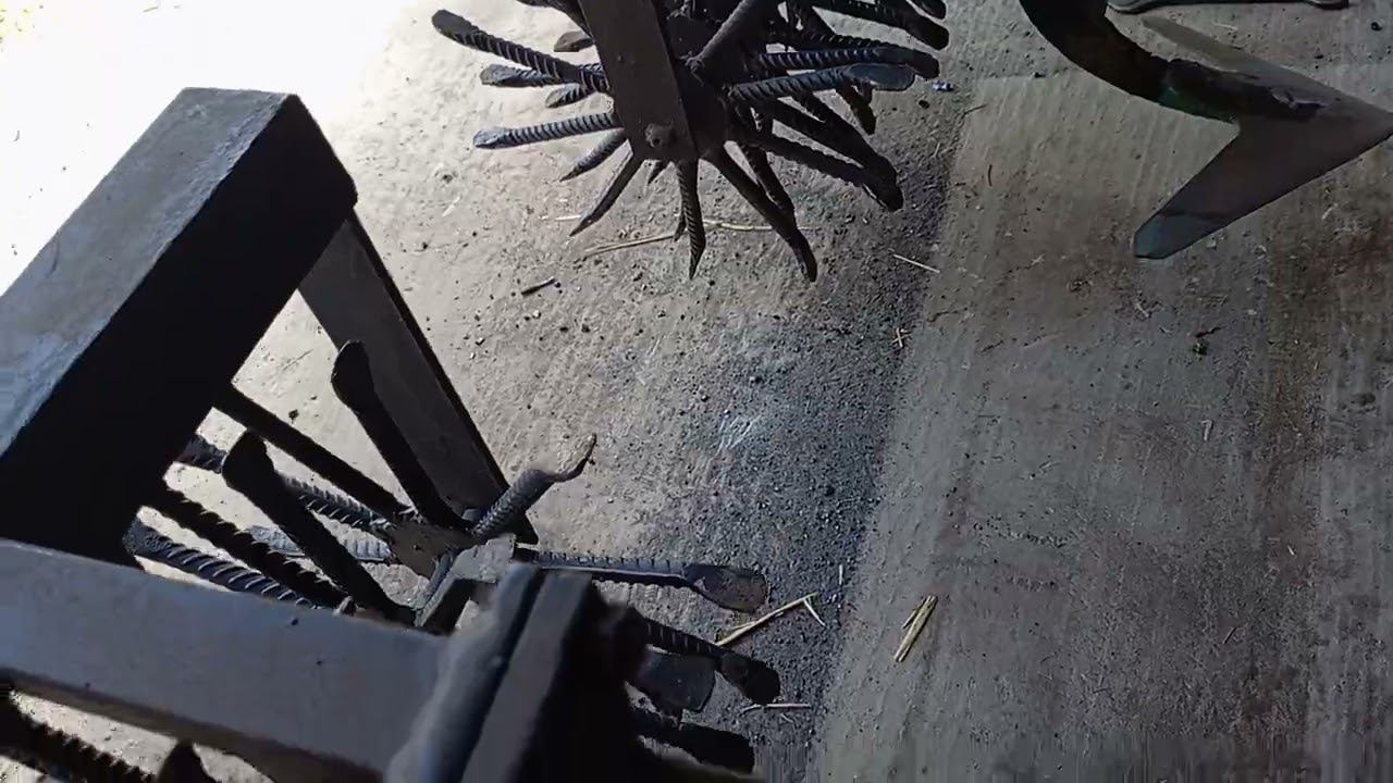 Ежи прямые.