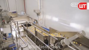 Choco Pie Factory | How Choco Pie Are Made In Modern Food Factory