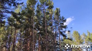 2023 04 РК Сосновый Лес !! Павлодарская область !!