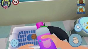 Обзор на игру My Pets: Cat Simulator .