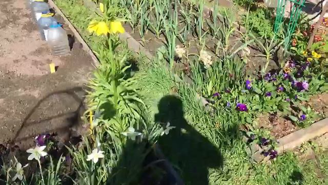 Эпизод 1, дача, май 2021. смотреть онлайн