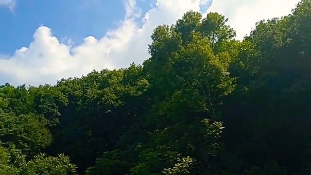 Место Силы Путешествие Медитация Гармонизация всех сфер жизни человека Место Силы Лазаревское Сочи смотреть онлайн