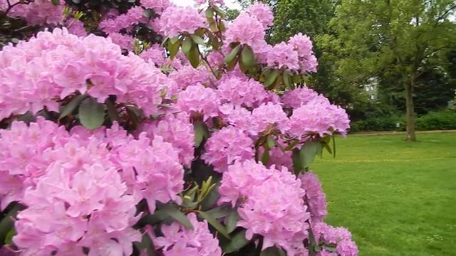 Nikon Coolpix S9400 Digitalkamera. смотреть онлайн