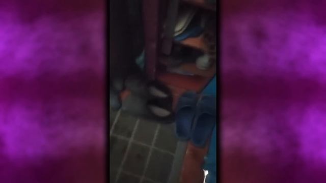 В ЭТОМ ВИДЕО ЕСТЬ ВСЁ, ЧТО НАДО ? / +100500 смотреть онлайн