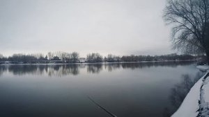 Онлайн турнир по ловле спиннингом с берега | Денис Вихров