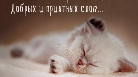 Оригинальное Пожелание! Добрый Вечер!Спокойной Ночи