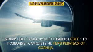 Почему Сиденья в Самолетах почти всегда Синие?