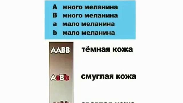 "От одной крови: Библия и происхождение рас" Кен Хэм смотреть онлайн
