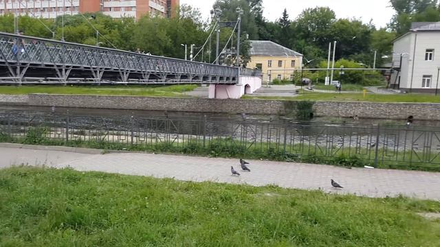 Сиреневый туман на гармошке смотреть онлайн