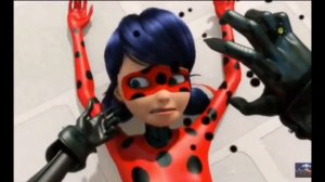 Леди баг клип отпускаю любя