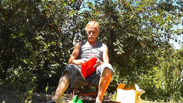 Комбайн для сбора ягод. Какой выбрать. Ягоды Карелии. Сбор ягод в Карелии. Как заработать деньги. смотреть онлайн