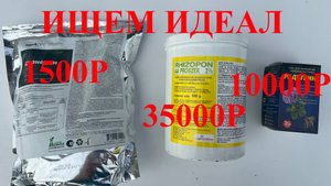 Выбираем выгодный укоренитель