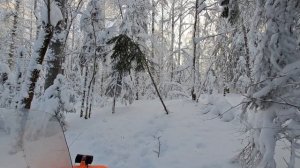 На снегоходах в тайгу! SF200 Irbis горный снегоход?:-) @Dimonius-boroda   и  @VitaliySkorobogatskiy