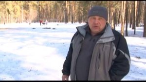 Как защититься от бродячих собак