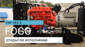 Дизельный генератор Fogo FDF 365 S