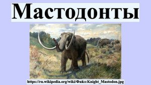 Мастодонты