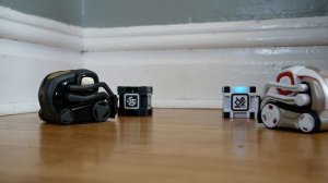 Cozmo Meets Vector