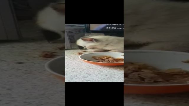 Леся и Сёма - Завтрак