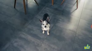 Реакция бабка гренни в реальной жизни.