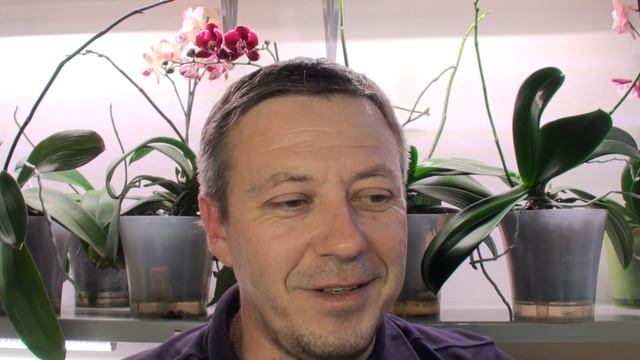 ОРХИДЕИ фаленопсисы видео ответы на вопросы и ПРО СУПЕР ГРУНТ НОВИНКУ для ОРХИДЕЙ (пеностекло)
