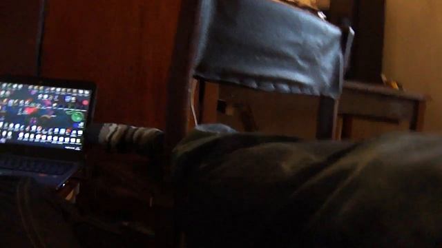 Змея пожирает ноут.MP4 смотреть онлайн